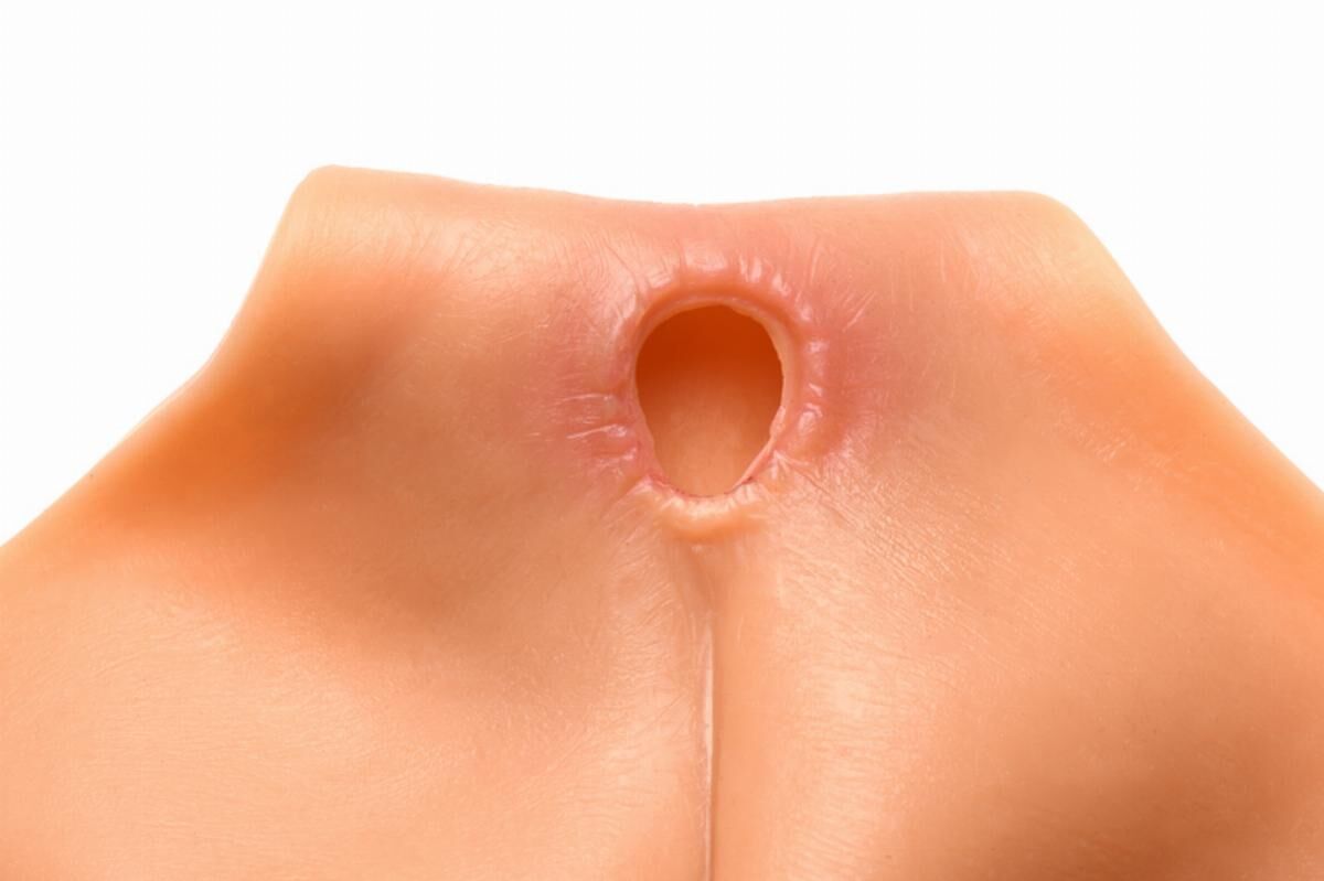 Накладна вагіна Master Series Silicone Vagina + Butt Panties - Large