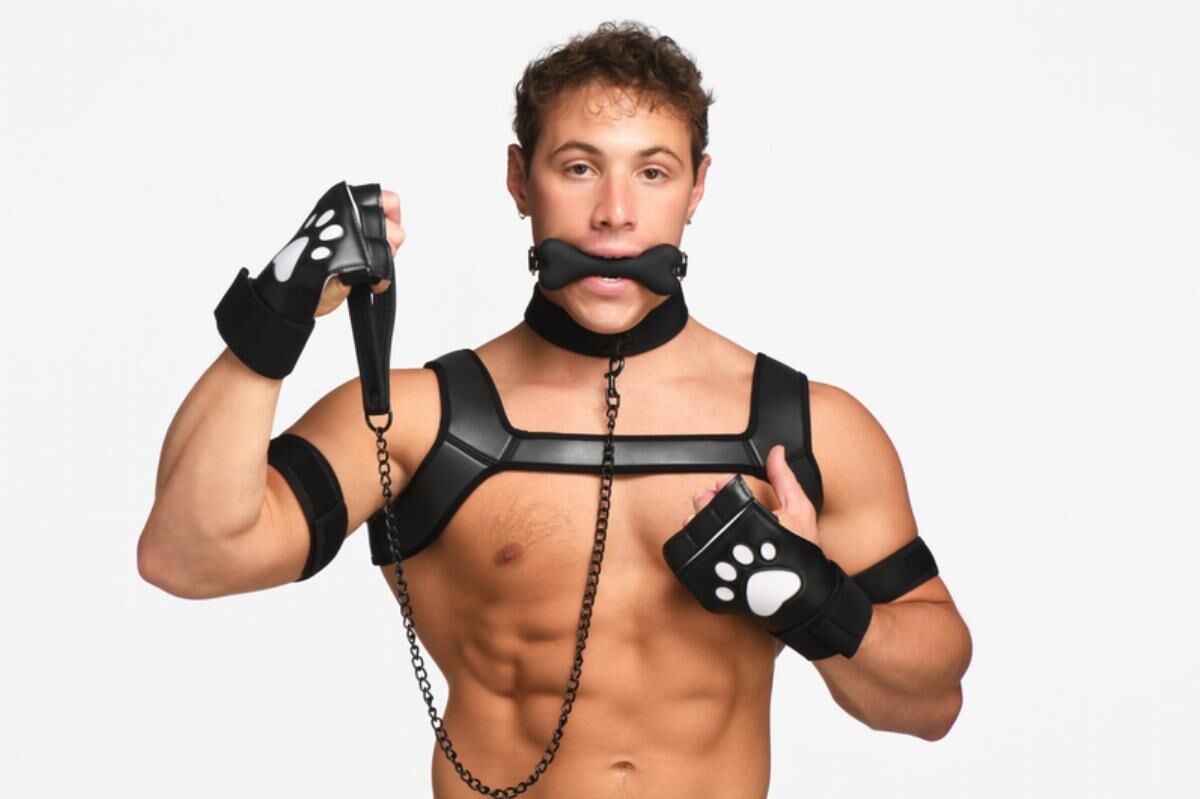 Набір BDSM цуценя Master Series Luxury Pup Arsenal Set - Black